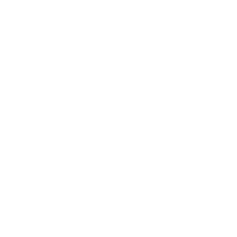 rapid_networks_logo_white
